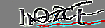 Enter the character string shown in the picture